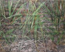 Will the Grass Grow Over It?, 2013, pigmented wax, oil, collaged print matter/linen, 48 x 96"