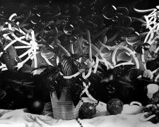 頭かくしてしりかくさず_Christmas 2022, 2023, graphite on paper, 41" x 105"