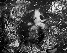 形あるものいつかこわれる_ Anything that takes a form will break sooner or later (Happy Birthday_18), 2024, graphite on paper, 40" x 60"