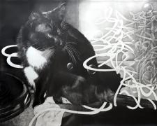 見て分からんものは聞いても分からん_ If you don’t get it by looking at it, you won’t get it by listening about it either (Bubbles) "見て分からんものは聞いても分からん_ If you don’t get it by looking at it, you won’t get it by listening about it either (Bubbles)", 2021, graphite on paper, 63 x 123"