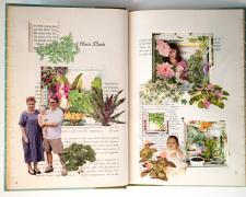 Sunni Forcier, "The Woman’s Day Book of House Plants", 2019, bound book, found objects, 9 1/4 x 12 1/4 x 3/4"