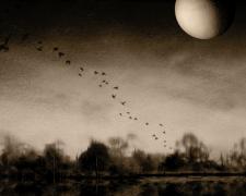 Ancestors V, 2018, pigment print on metallic warm paper, 24 x 35", ed. 1/5, AP