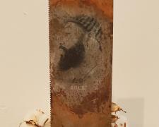 "Buck", 2021, transfer print, embossing, found objects, 16 x 11 x 5"