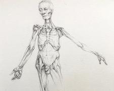Albinus Figure, 2018, graphite on paper, p.s. 9 7/8 x 6" / f.s. 17 1/2 x 13 1/2"