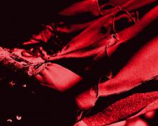 Catherine Asher Morgan, "Always a Bridesmaid (red)", 2022, digital photography and digital painting on silk