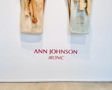 Installation View of Ann Johnson's "Ironic"