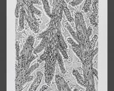 "Cactus", 2010, ink on Stonehenge paper, 7 x 6"