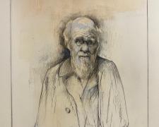 "Darwin NPG", 2025-26, graphite and acrylic on cotton paper, i.s. 7 3/4 x 5 1/2"