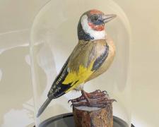 "Goldfinch", 2023, foil, wire, papier-mâché, wood, 8 x 6 x 6"