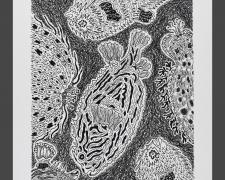 "Fishes", 2010, ink on Stonehenge paper, 7 x 6"
