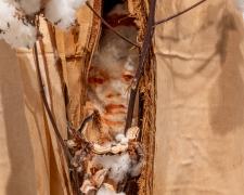 "For His Protection", 2023, mixed media: intaglio, vintage wood ironing board, plantation cotton, 42 x 13 x 1 1/2" (Detail View 2)