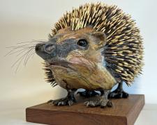 Hedgehog "Hedgehog", wire, plaster, papier-mâché, 10 x 10 1/4 x 15 3/4"