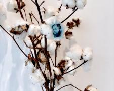 Manufactured Realities (detail), 2019, intaglio, found objects, transfer print, 35 x 20 x 20" (varied branch sizes)