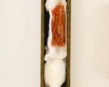 Fertility, 2019, intaglio, found objects, 24 x 4 1/4 x 3 1/2"