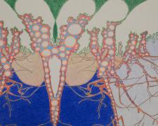 "Central Park Yoshino" (image detail), 2020, ink and colored pencil on paper, 20 x 22" (framed)