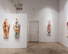 Installation View of Ann Johnson's "Ironic"