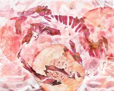 nectarine and radicchio