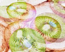 "jicama and kiwi", 2022, archival inkjet pigmented print, i.s. 11 x 15"