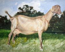 Scape Goat, 2019, acrylic wash, p.s. 18 x 23" / i.s. 12 1/2 x 17 5/8"