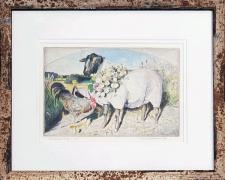 "Garlanded Sheep", 1998, etching with unique hand coloring, i.s. 5 3/4 x 9" / f.s. 12 1/4 x 15", H.C. edition, (Secondary Market)