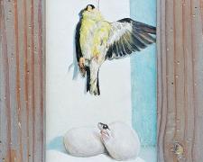 Goldfinch and Emerging Snake, 2020, acrylic on board, Kermit frame, 13 1/2 x 9"