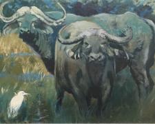 "Water Buffalo", 2016, acrylic on panel, i.s. 10 1/2 x 19" / f.s. 17 x 26"