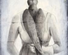 Hooded Falcon, 2005, charcoal, acrylic, paper, 24 x 18"