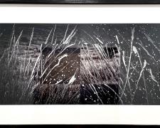 "Grasses", 2019, archival inkjet print, 16 x 32"