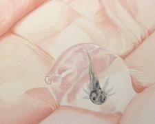 "Last Hope", 2026, watercolor on paper mounted on panel, 8 x 8 x 1 3/4"