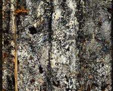 "Sacred Terrain Series | Single Sunflower", 2023, ashes, dried plant, paint, resins on distressed wood, 15 x 15 x 5"