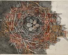 "A Prickly Nest", 2023, charcoal, chalk, Russian rubles, Soviet money collaged on paper, 22 x 30"