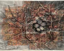 "A Nest of Concealment", 2023, charcoal on Russian rubles, Soviet money collaged on paper, 22 x 30"
