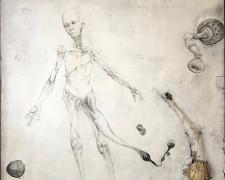 Heroic Figure with Pathogens and Allies, 1997-2018, graphite, acrylic, string, hardware, carapace on panel, 59 3/4 x 48 x 2 3/8"