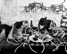 見て分からんものは聞いても分からん_ If you don’t get it by looking at it, you won’t get it by listening about it either (Corona Breakfast) "見て分からんものは聞いても分からん_ If you don’t get it by looking at it, you won’t get it by listening about it either (Corona Breakfast)", 2020, graphite on paper, 73 1/2 x 120" (3 sheets)