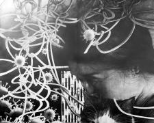 見て分からんものは聞いても分からん_ If you don’t get it by looking at it, you won’t get it by listening about it either (Corona War) "見て分からんものは聞いても分からん_ If you don’t get it by looking at it, you won’t get it by listening about it either (Corona War)", 2021, graphite on paper, 111 x 83"