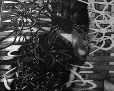 かわいい子には旅をさせよ_Let your precious child explore "かわいい子には旅をさせよ_Let your precious child explore", 2023, graphite on paper, 96 x 64"