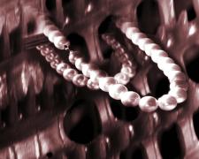 Catherine Asher Morgan, "Pearls in the Rough", 2022, digital photography and digital painting, f.s. 25 x 18" / i.s. 21 x 14"