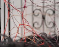 "Nested" (Detail), 2021, embroidery floss, yarn, clear cord, metal bird cage, 9 x 9 x 18"