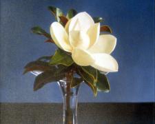 Richard Wood, "Magnolia", 2002, oil on canvas, 24 x 24"