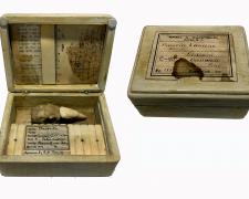 Relique Ward Sanders, "Relique", 2019, box construction, encaustic, 4 x 5 1/2 x 6"