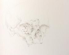 Syphilitic Skull, 2018, ink on paper, p.s. 9 7/8 x 6" / f.s. 13 1/2 x 17 1/2"