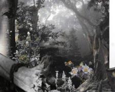 Clearing 2005 Mixed media on photography 56 x 36"
