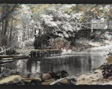 Tranquility #2, 2006, mixed media on photography, 16 x 28"