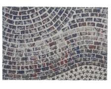 Freedom 5, 2011, serigraph, ed. 1/1, p.s. 38 1/2 x 50" / i.s. 30 x 43"