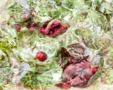 brussel sprouts and pomegranate seeds, 2019, archival inkjet pigmented print, s.s. 16 x 22" / f.s. 24 x 30", ed. 2/7