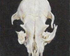 My Cat’s Skull Seemed a Lily To Me, 2016, acrylic on gessoed paper, 6 1/4 x 3 1/4”