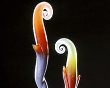 Aurora, 2003, hot-worked and cast glass, 28 x 9 x 9"