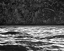 Night Sky with Seascape and Shooting Star 2002 Ink on paper 22 x 30"