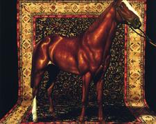 American Horse with Tabriz 2003 Oil on wood 7 1/4 x 7 1/4"