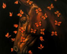 Lepidoptera Equus 2005 Oil on canvas 34 x 34"
